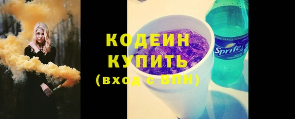 хмурый Михайловск
